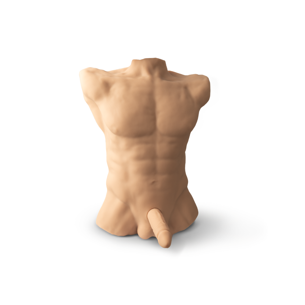 SILEXD Apollo L Male Torso Flesh