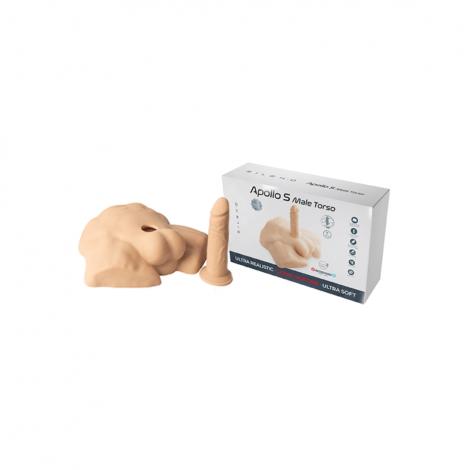 SILEXD Apollo S Half Male Torso Flesh