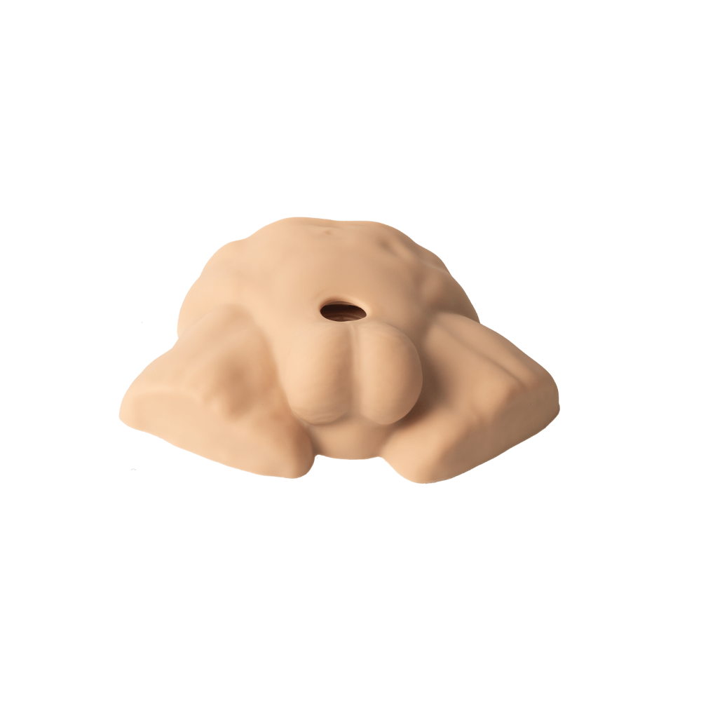 SILEXD Apollo S Half Male Torso Flesh