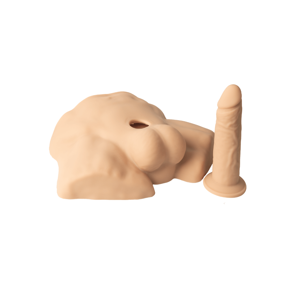 SILEXD Apollo S Half Male Torso Flesh