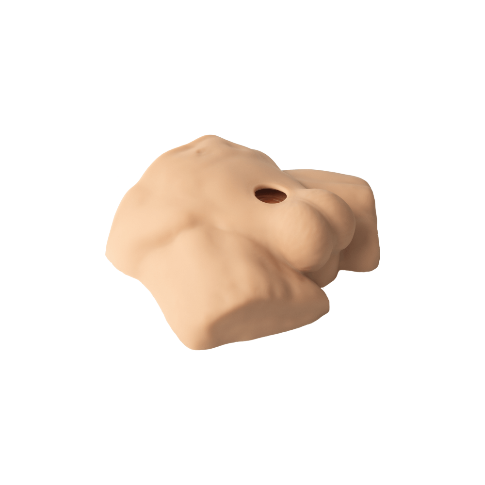 SILEXD Apollo S Half Male Torso Flesh